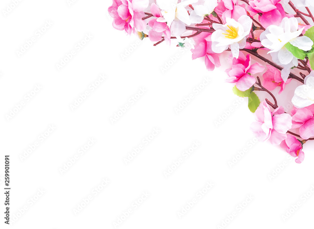 Spring flower decorated on white background Spring flower decorated on white background