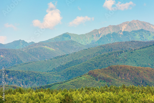 fagaras mountain ridge in afternoon. beautiful nature scenery. travel destination background. wonderful landscape of romania