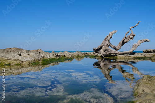 Strand am Mittelmeer mit Baumwurzel © Klaus von Kassel