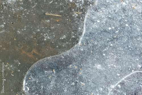 Dry grass under transparent ice close up in springtime © Talulla