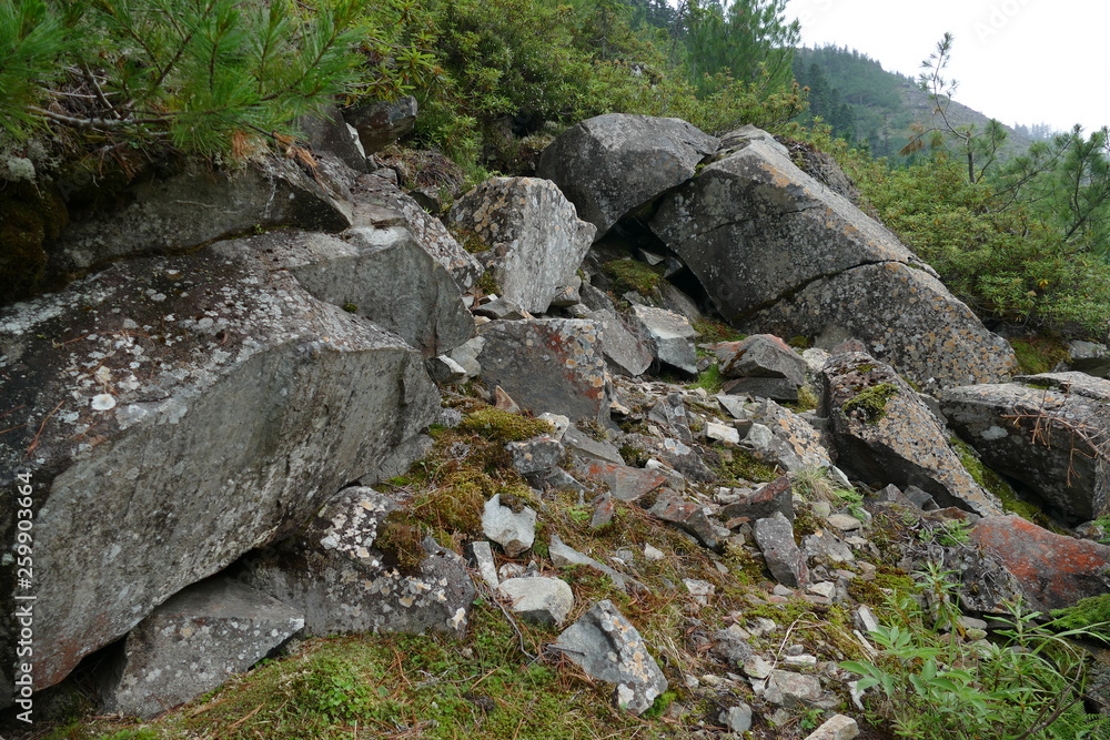 stone and rocks on the mountainside with plants and moss