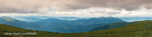 panorama of a gorgeous summer landscape. overcast weather. mountain ridge in the distance