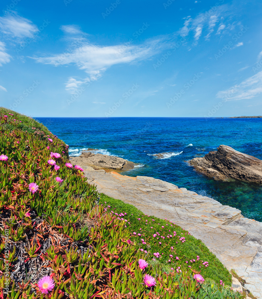 Atlantic blossoming coastline (Spain).