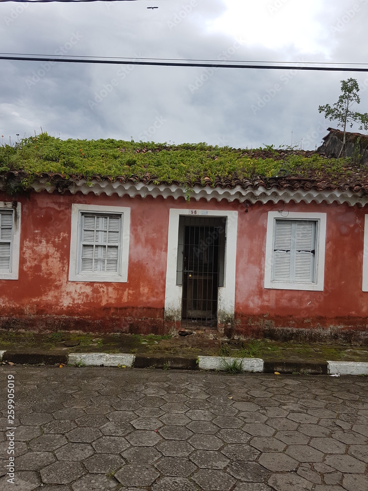 Casa com plantas no telhado