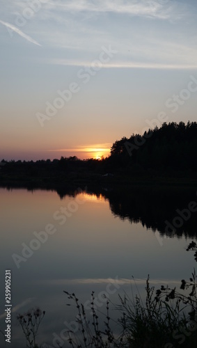 Fototapeta Naklejka Na Ścianę i Meble -  Summer landscape, pond and forest on the horizon.