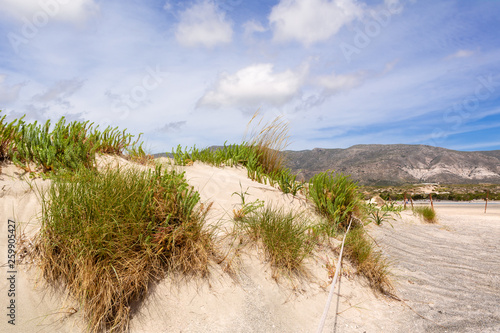 Scenery of desert at the reserve zone with plants growing on sand dunes on Elafonisi beach, Greece