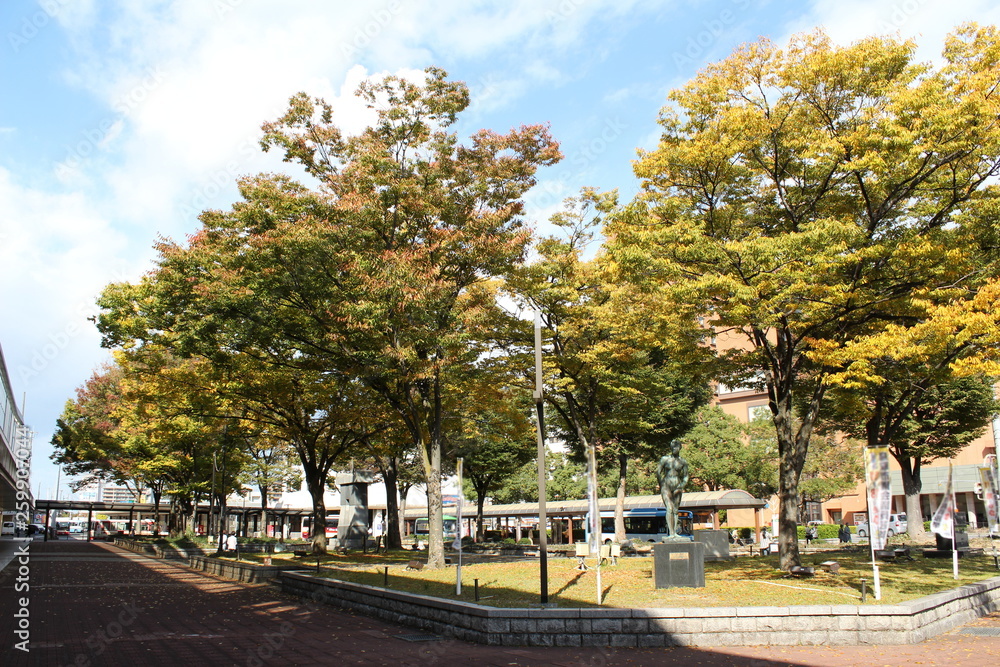 田舎の駅前広場