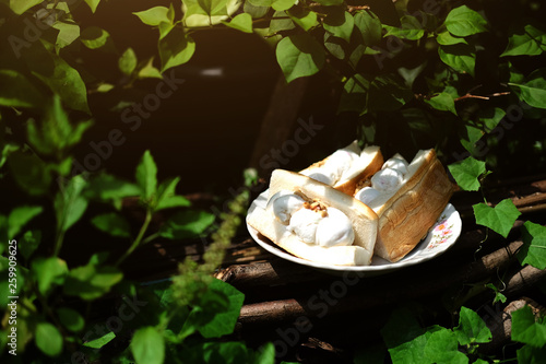 Thai sweet dessert Coconut Ice cream with bread Peanuts Toppings on white dish with sunligh.  photo