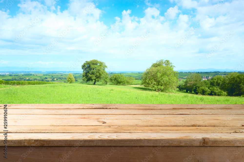 Empty wooden table over summer meadow background Empty wooden table over summer meadow background