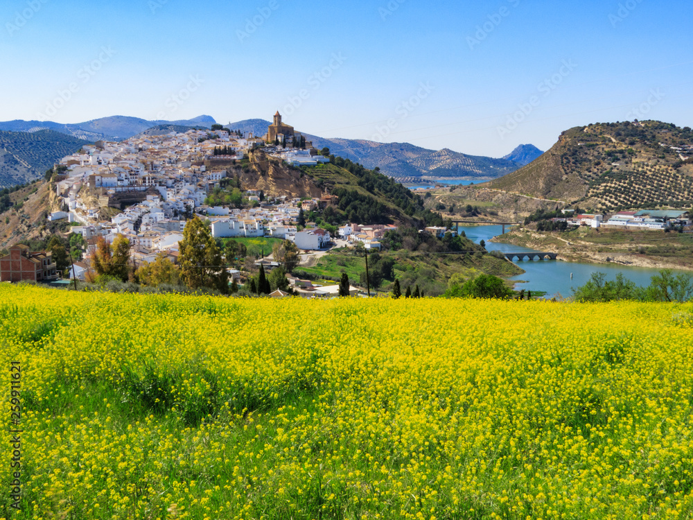 Obraz premium Iznajar town in Andalucia - view from side, wide angle with field of flowers