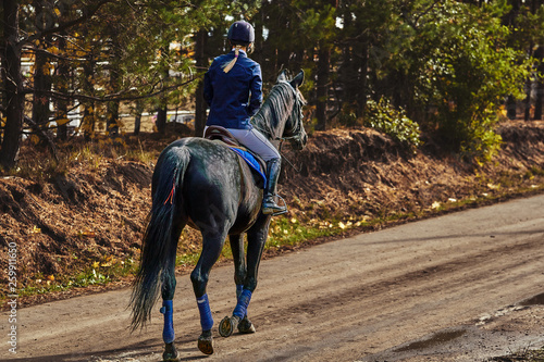 A young woman rider in a blue and white costume on a black horse is preparing to participate in equestrian competitions.