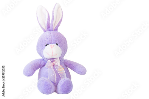 Little rabbit doll made from soft cloth
