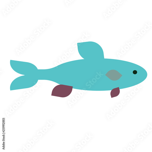 Blue fish flat illustration on white