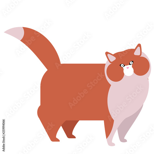 Red cat flat illustration on white