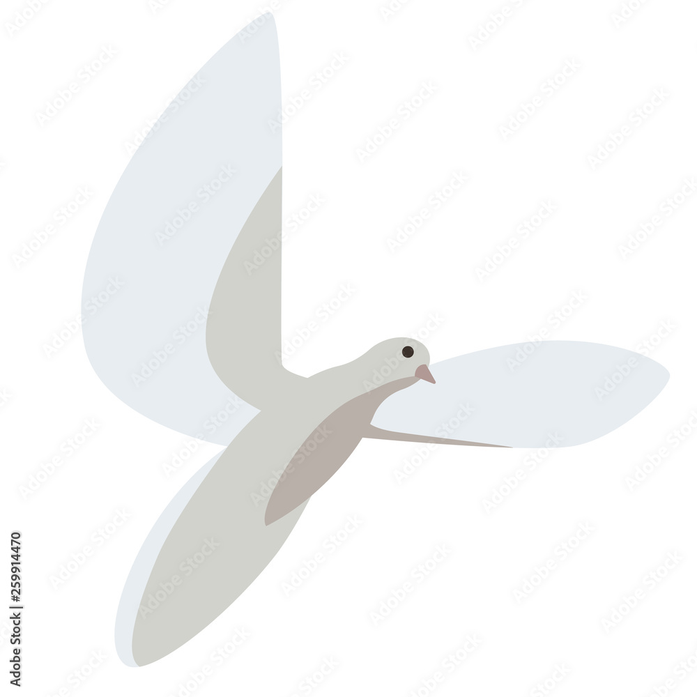 Dove flat illustration on white Dove flat illustration on white