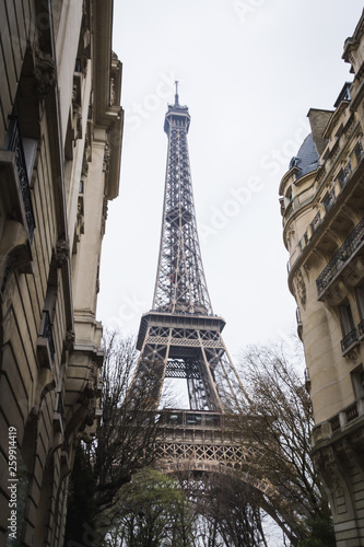 The Eiffel Tower behind the buildings of Paris - Paris, France © TheParisPhotographer
