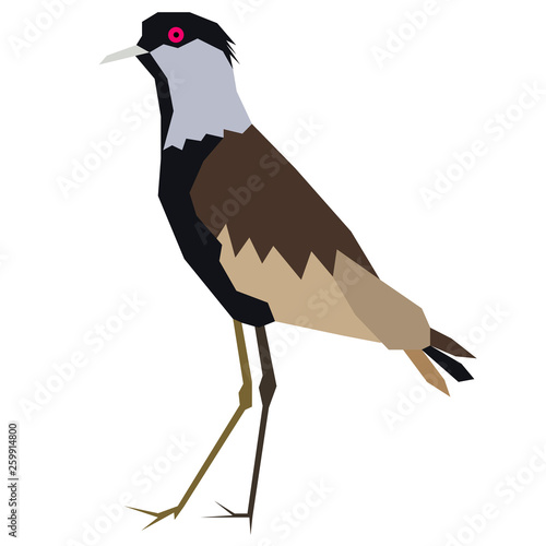 bird flat illustration on white