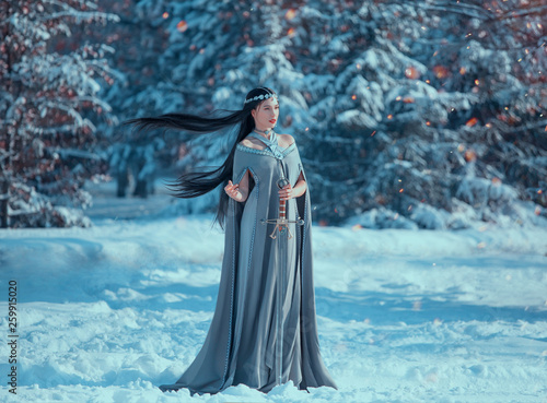 Dekoracja na wymiar  charming-attractive-lady-in-snowy-forest-militant-elf-princess-with-black-long-flying-hair-holds-sword-loose-gray-warm-dress-and-raincoat-in-sparks-of-fire-in-winter-creative-cold-blue-colors