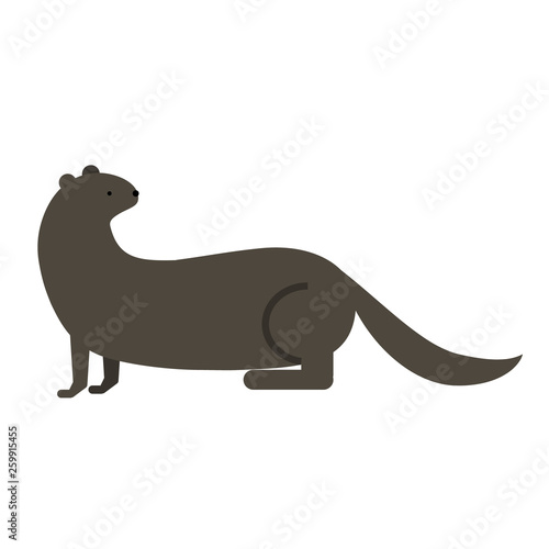 otter flat illustration on white