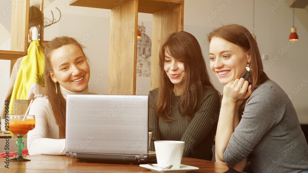 Colleagues women discuss joint project in cafe using a laptop, sunlight Colleagues women discuss joint project in cafe using a laptop, sunlight