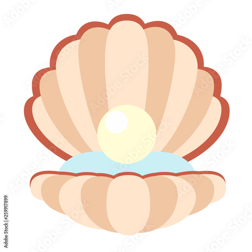 open pearl shell flat illustration on white