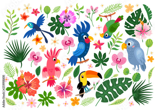 Tropical collection for jungle party or tropical wedding.