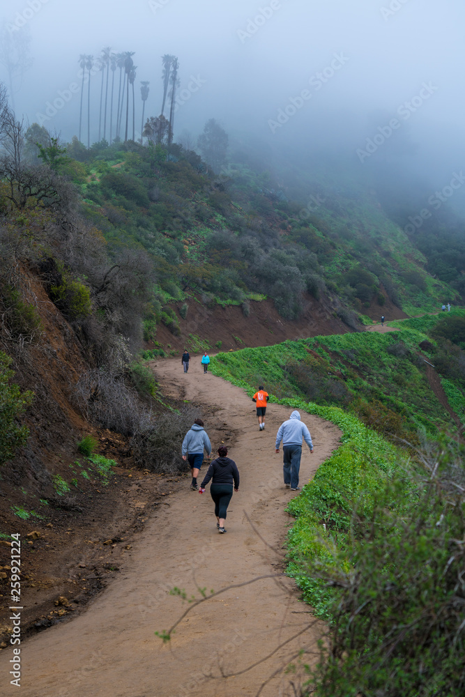Morning Fog view of Hiking Trail, California, view from Griffith park