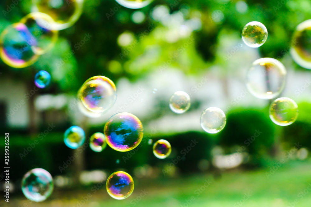 the nature soap bubble texture background and wallpaper the nature soap bubble texture background and wallpaper