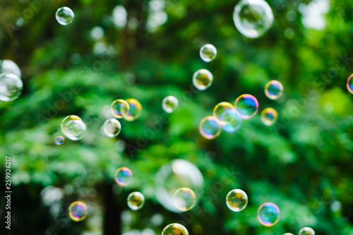 Wallpaper Mural the nature soap bubble texture background and wallpaper Torontodigital.ca