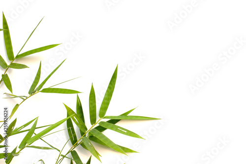 Fototapeta Naklejka Na Ścianę i Meble -  Bamboo leaf on white background. Pattern leaves bamboo copy space for text.