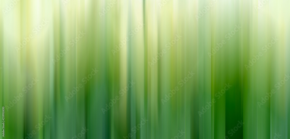 Abstract vertical green lines background. Abstract vertical green lines background.