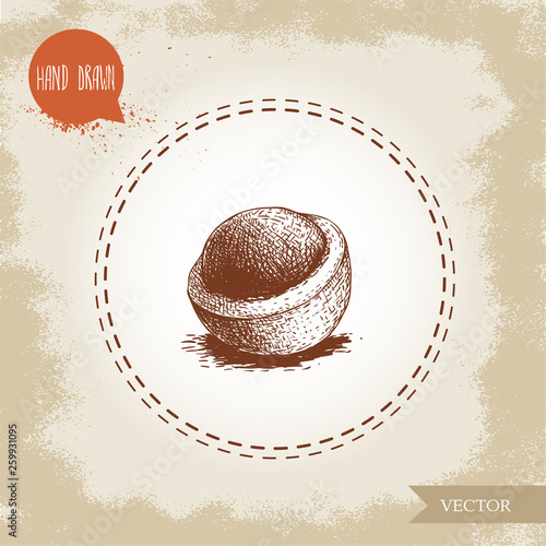 Peeled macadamia nut shell. Hand drawn sketch style vector illustration isolated on retro background. Botanical drawing. Australian nut. Best for food and cosmetics with oil designs.