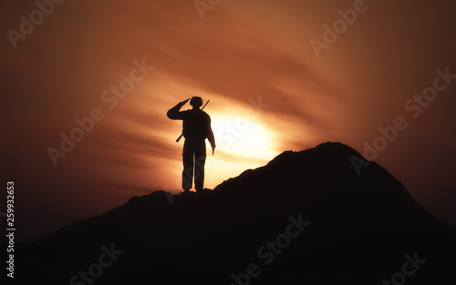 Murais de parede 3D silhouette of a soldier saluting against a sunset sky