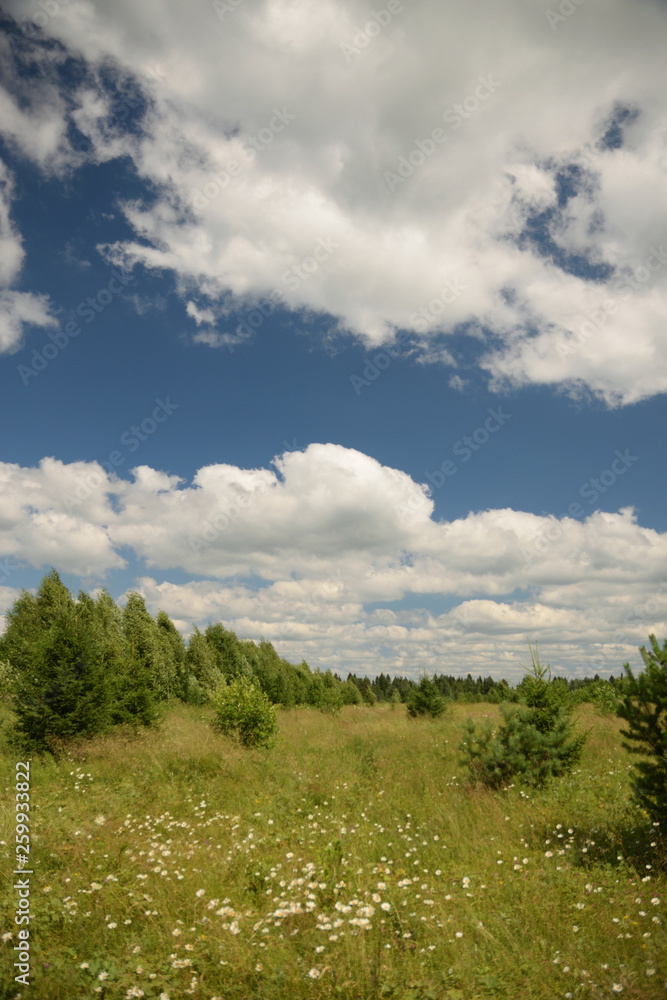 Summer landscape with meadow, trees, clouds, road. Summer landscape with meadow, trees, clouds, road.