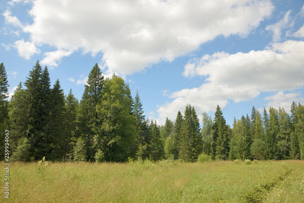 Summer landscape with meadow, trees, clouds, road. Summer landscape with meadow, trees, clouds, road.