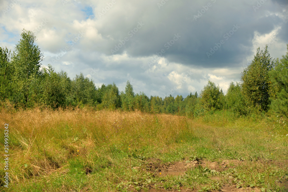 Summer landscape with meadow, trees, clouds, road.