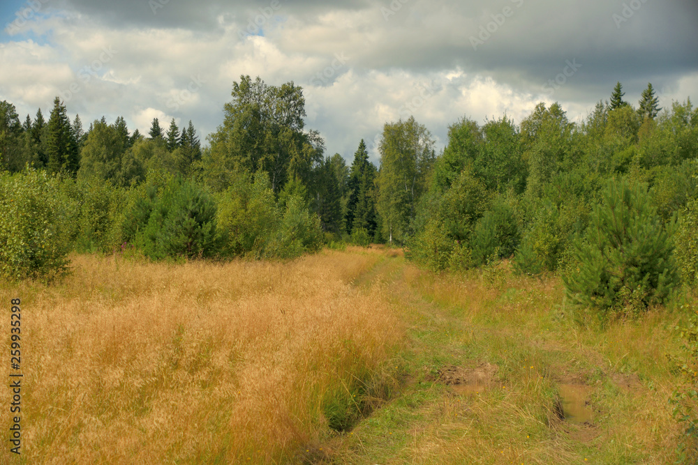 Summer landscape with meadow, trees, clouds, road. Summer landscape with meadow, trees, clouds, road.
