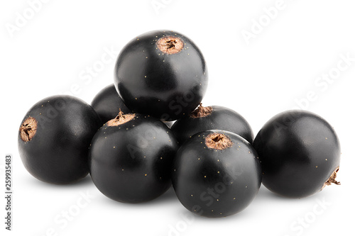 Black currant isolated on white background, clipping path, full depth of field