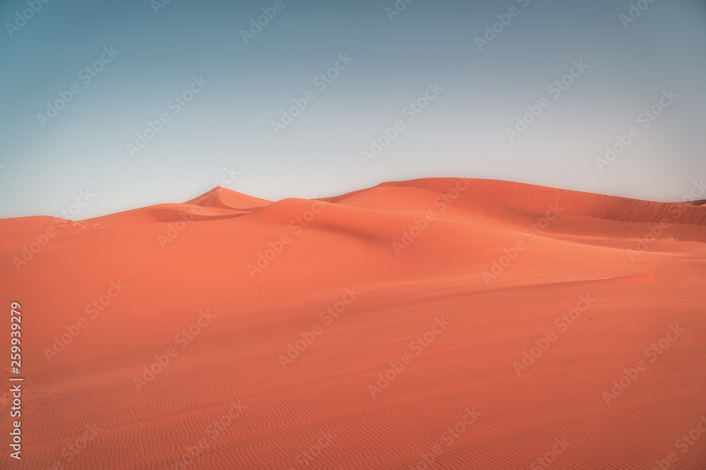 Spectacular sandy landscape in the Sahara desert at dawn