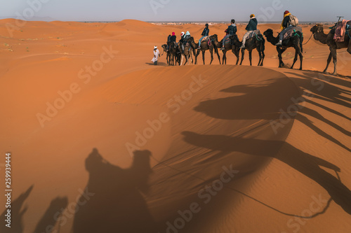 Camel ride in the Sahara desert at sunrise  Merzouga Morocco. People and dromedaries
