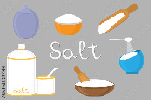 Illustration on theme big set different types filled salty salt