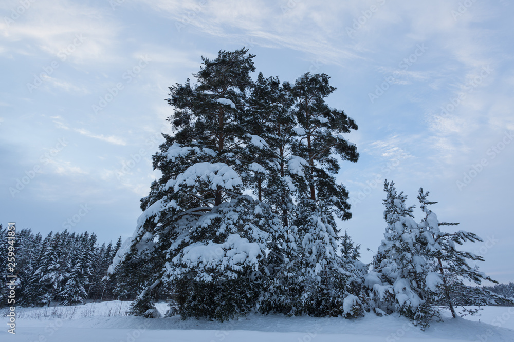 Winter landscape at countryside Finland Winter landscape at countryside Finland