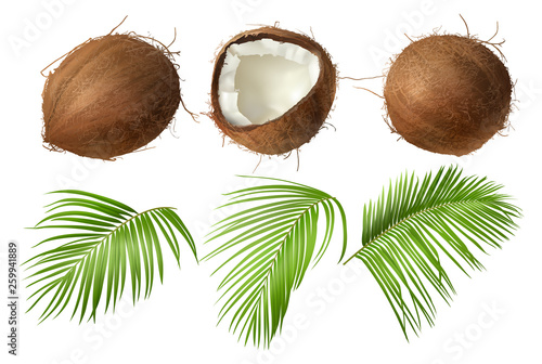 Fotografia Coconut realistic vector illustration, whole and half cracked broken coco nut with green palm leaves, isolated on white background