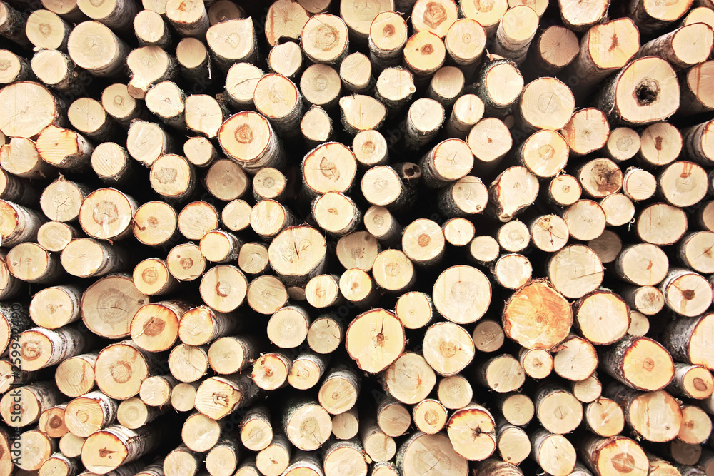 A pile of stacked firewood. Natural background A pile of stacked firewood. Natural background