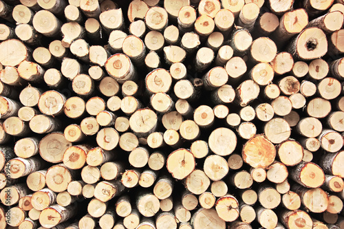 A pile of stacked firewood. Natural background