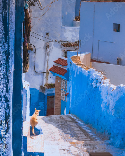 Amazing view of the street in the blue city of Chefchaouen. Location: Chefchaouen, Morocco, Africa. Artistic picture. Beauty world © Kotangens