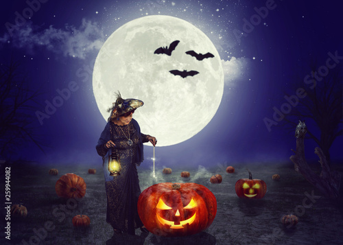 Old fairy on pumpkin field at moon night
