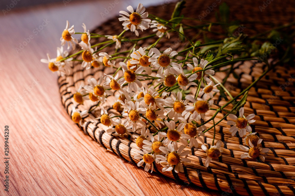 Chamomile on straw napkin