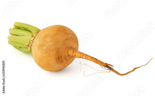 Yellow root crop of turnip with green tail of tops photo