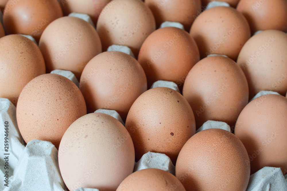 Close up of chicken eggs Close up of chicken eggs